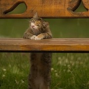 Ксения Коновалова on My World.