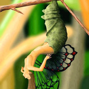 Живые Тропические Бабочки Пенза группа в Моем Мире.