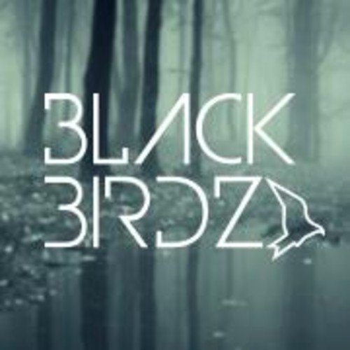 Black Birdz