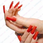 Представительство Тренинг-Студии Nail Desing Н. Якубчук группа в Моем Мире.