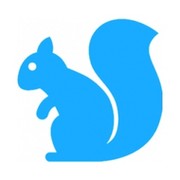 NETSquirrel support группа в Моем Мире.