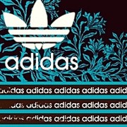 _-=Nike™, Adidas™,Puma™=-_ группа в Моем Мире.
