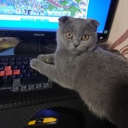 Мила Папина on My World.