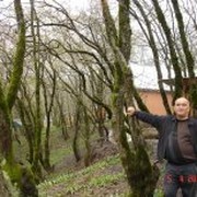 Арзу Алиев on My World.