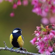 Наталия Прокофьева on My World.