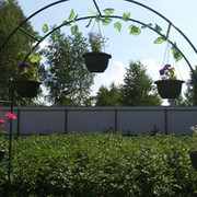 ЕКАТЕРИНА АРХИПОВА on My World.