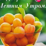 Асем Хасанова on My World.