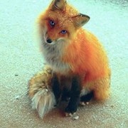 Татьяна Иванова on My World.