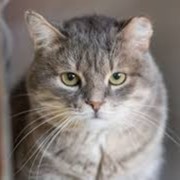 Василий Котов on My World.