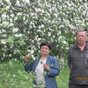 валентина дмитренко on My World.