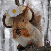 Сказкa Чародейки on My World.