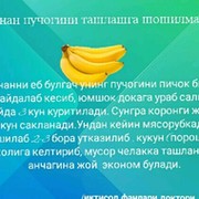 мирахмадов азизбек on My World.