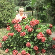 Ирина Злобина on My World.