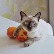 Фея, блин)) )) on My World.
