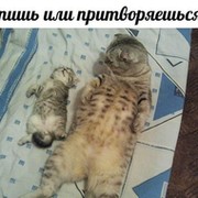 аида хаиткулова on My World.