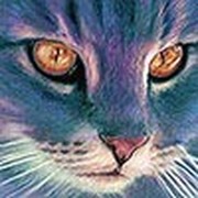 Ольга Ковальская on My World.