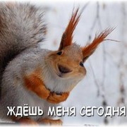 Наталья Тимочкина on My World.