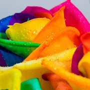 Наталия Владимировна on My World.