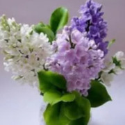 Ninel Нина ))))(((((())) on My World.