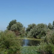КГУ Павлодарское учреждение по охране лесов и животного мира on My World.