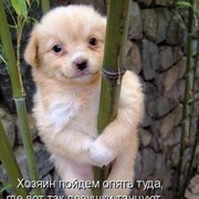 Дима Прокопивнюк on My World.