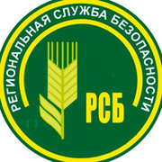 Региональная служба безопасности РСБ on My World.
