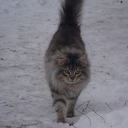 Усманов Рустем on My World.
