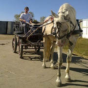 Эльдар Нигматулин on My World.