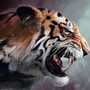 Marat Tiger