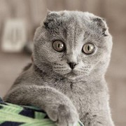 ♔ VADIM ♔ ღ ℤℱ ღ on My World.