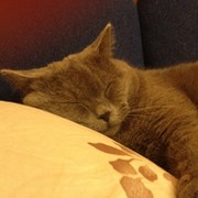 владимир згонников on My World.